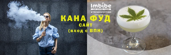 индика Осташков