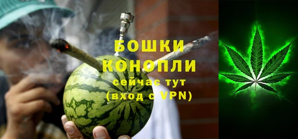 ПСИЛОЦИБИНОВЫЕ ГРИБЫ Осинники