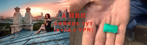индика Осташков