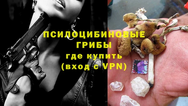 apvp Арсеньев